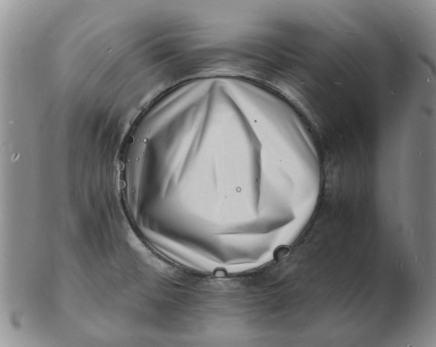 X0000102781476200809081016