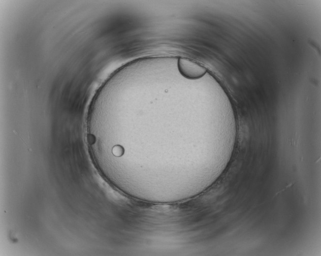 X0000102781478200809081016