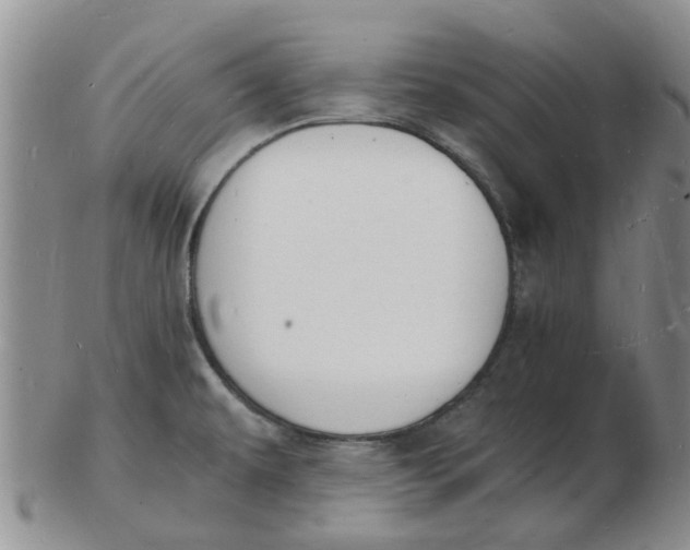 X0000102781479200809081016