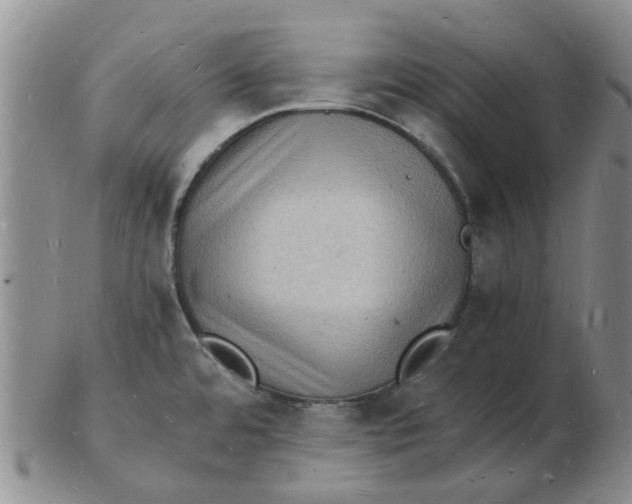 X0000102781480200809081016