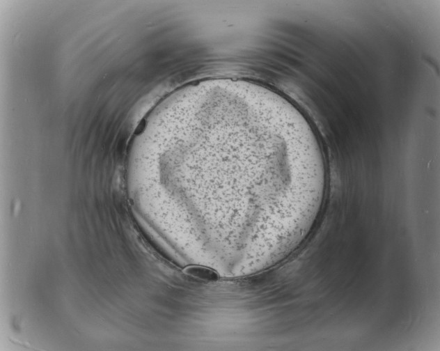 X0000102781481200809081016