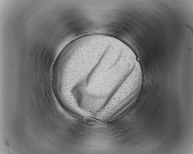 X0000102781483200809081016