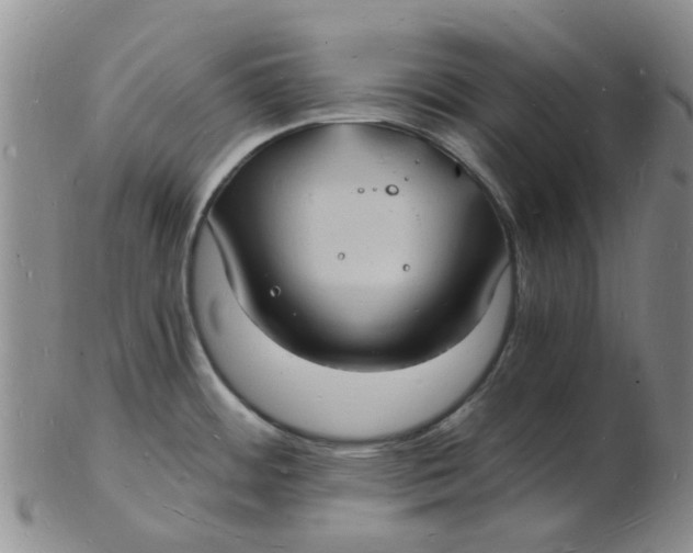 X0000102781484200809081016