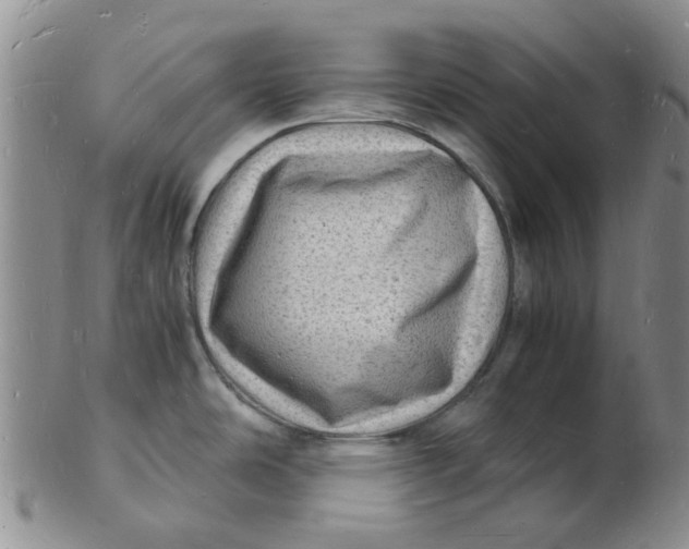 X0000102781486200809081016