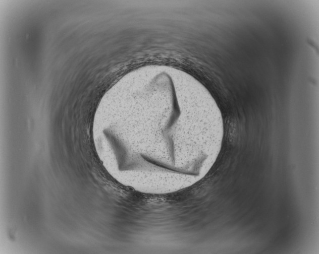 X0000102781489200809081015