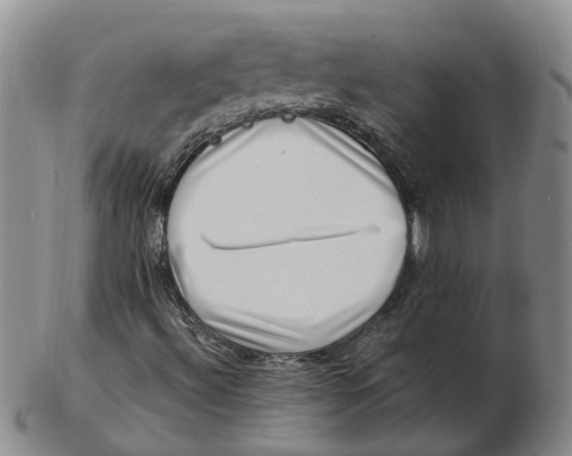 X0000102781492200809081015