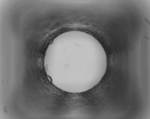 X0000102781493200809081015