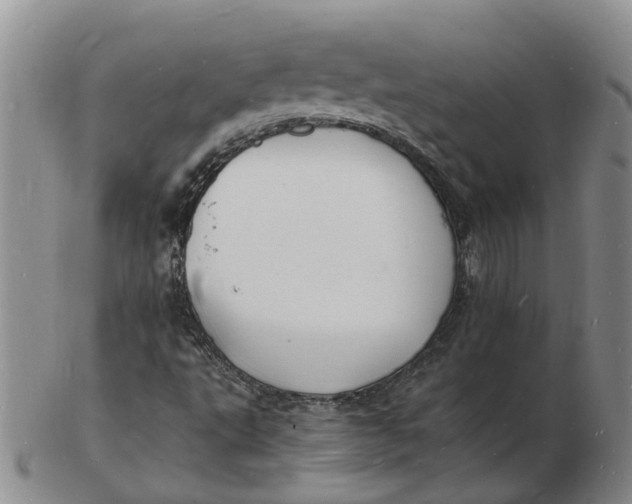 X0000102781495200809081015