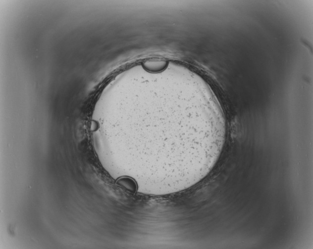 X0000102781496200809081015