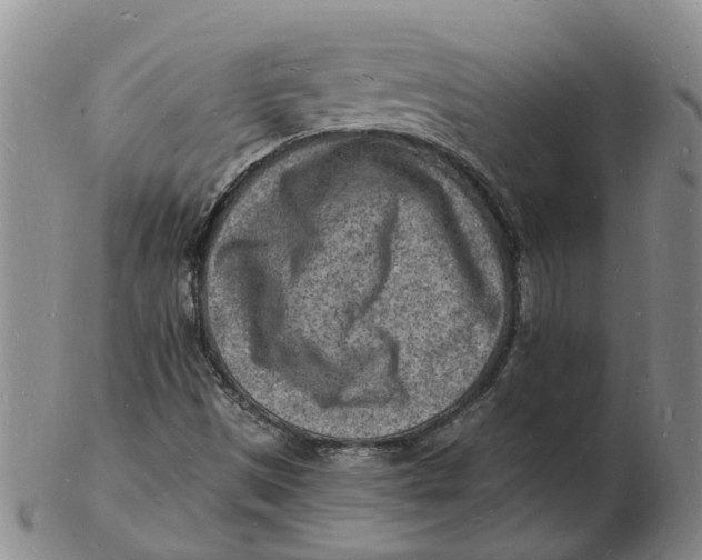 X0000102781497200809081015