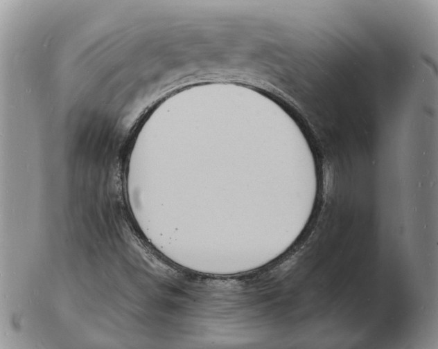 X0000102781498200809081015