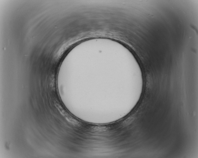 X0000102781499200809081015