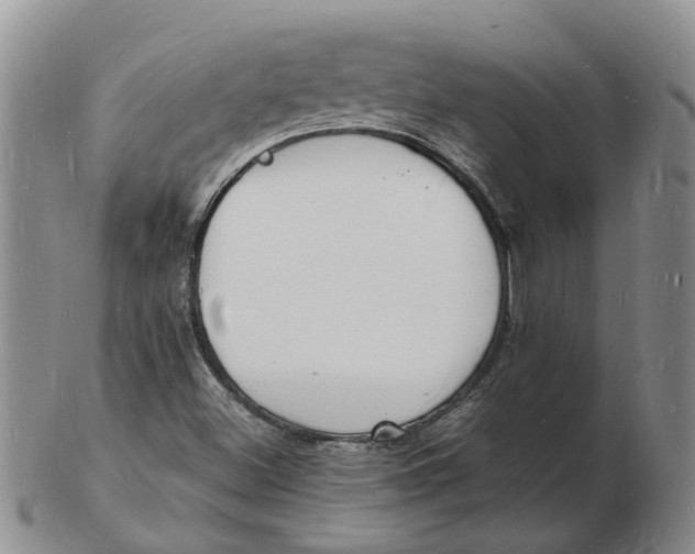 X0000102781500200809081015