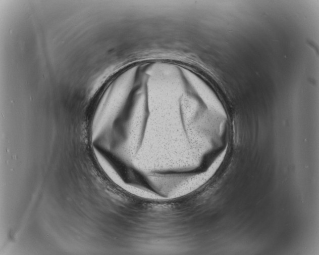 X0000102781501200809081015