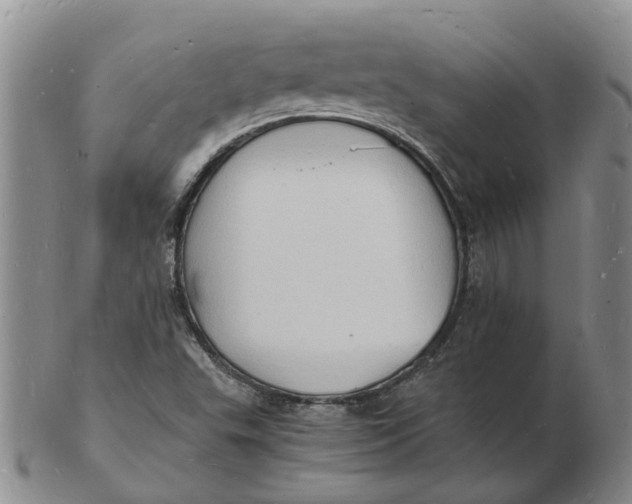 X0000102781503200809081015