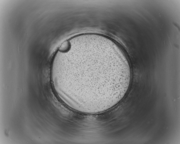 X0000102781504200809081015