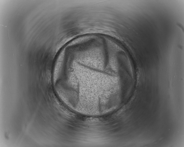 X0000102781505200809081015