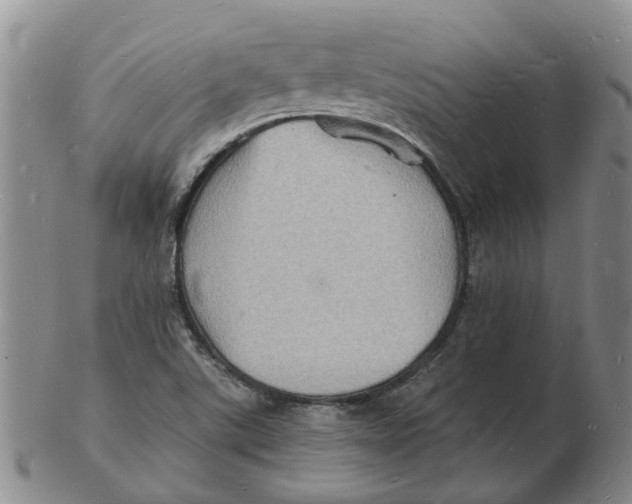 X0000102781507200809081015