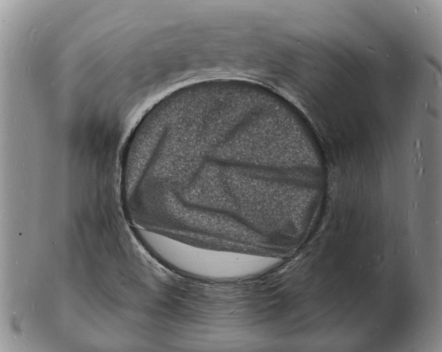 X0000102781508200809081015