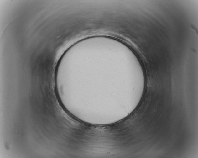 X0000102781512200809081016