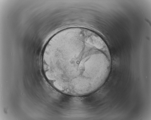 X0000102781514200809081016