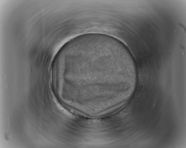 X0000102781515200809081016