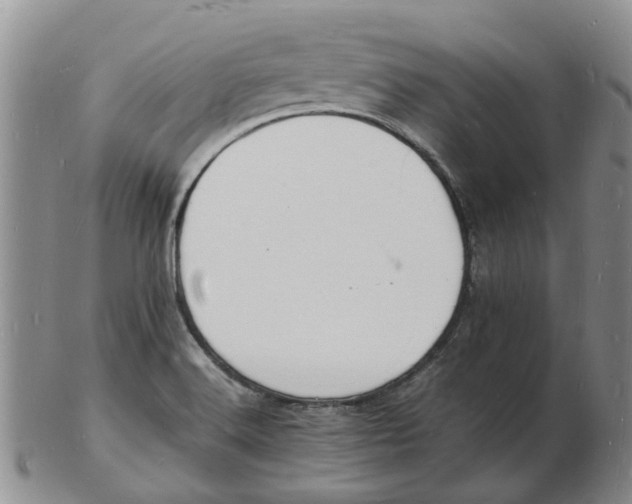 X0000102781516200809081016