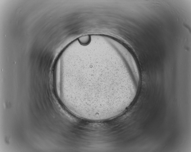 X0000102781517200809081016