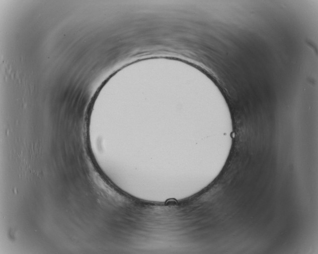 X0000102781518200809081016