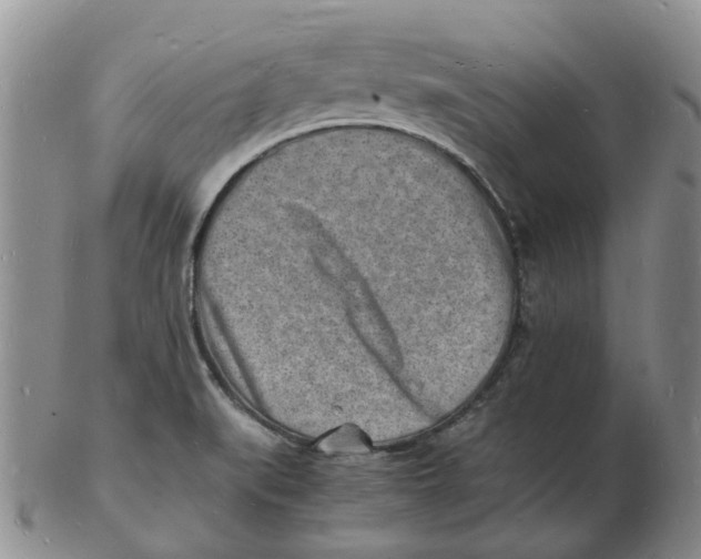 X0000102781519200809081016