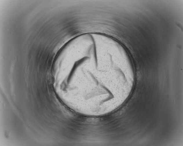 X0000102781521200809081016