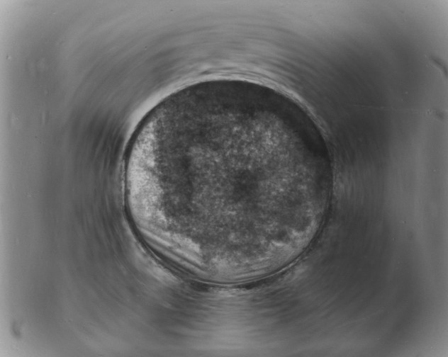 X0000102781522200809081016