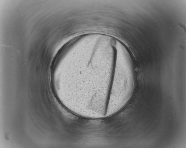 X0000102781523200809081016