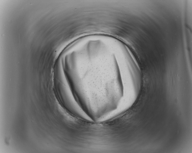 X0000102781524200809081016