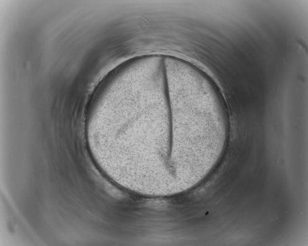 X0000102781525200809081016