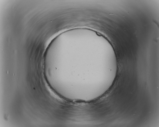 X0000102781526200809081016