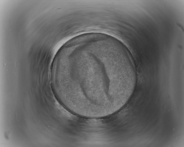 X0000102781527200809081016