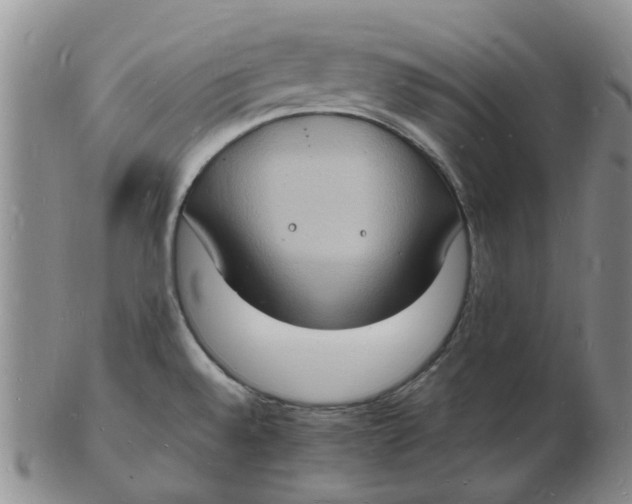 X0000102781528200809081016