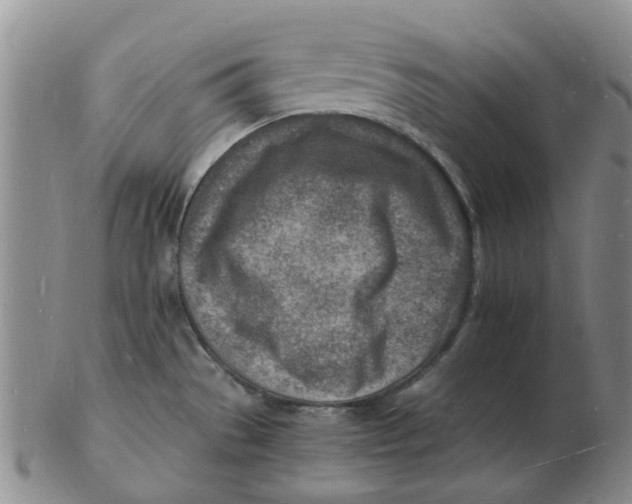 X0000102781529200809081016