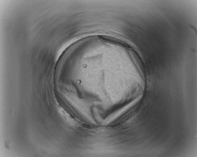 X0000102781530200809081016