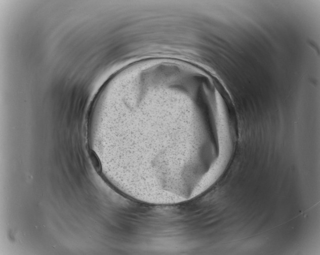 X0000102781531200809081016