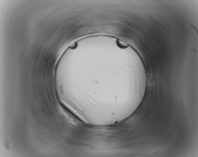 X0000102781532200809081016