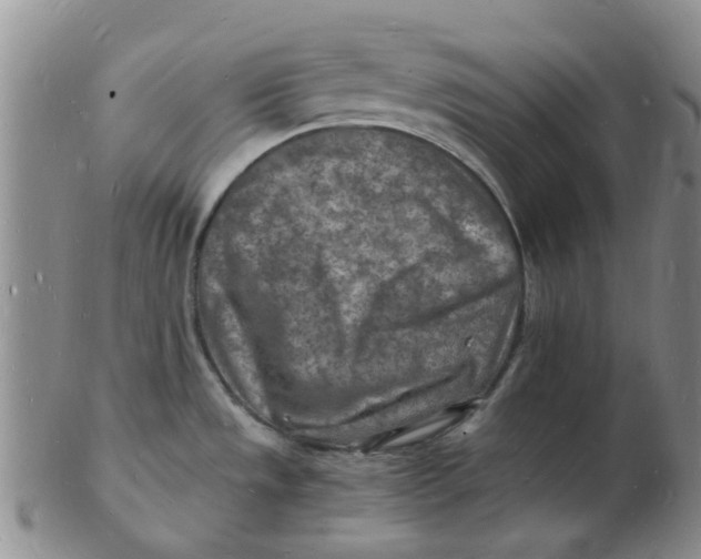 X0000102781533200809081016