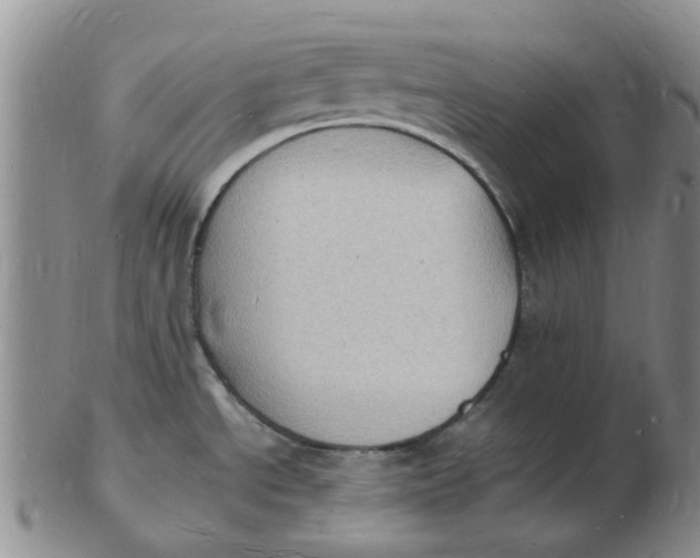 X0000102781534200809081016