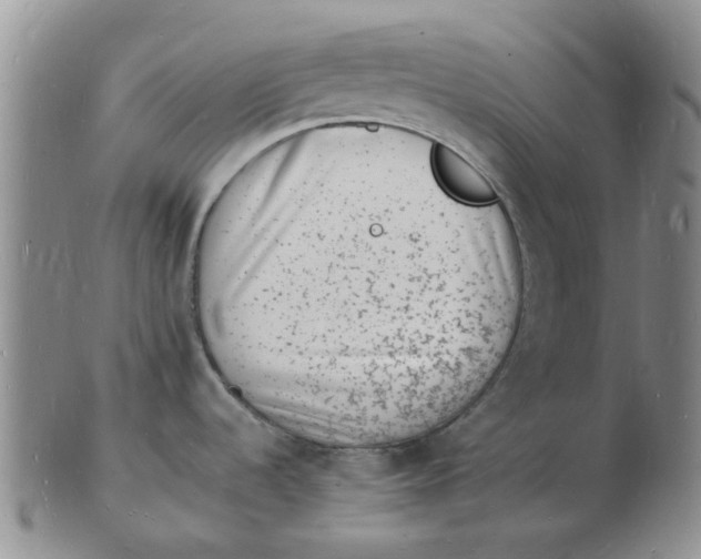 X0000102781536200809081016