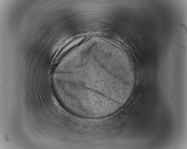 X0000102780002200809151113