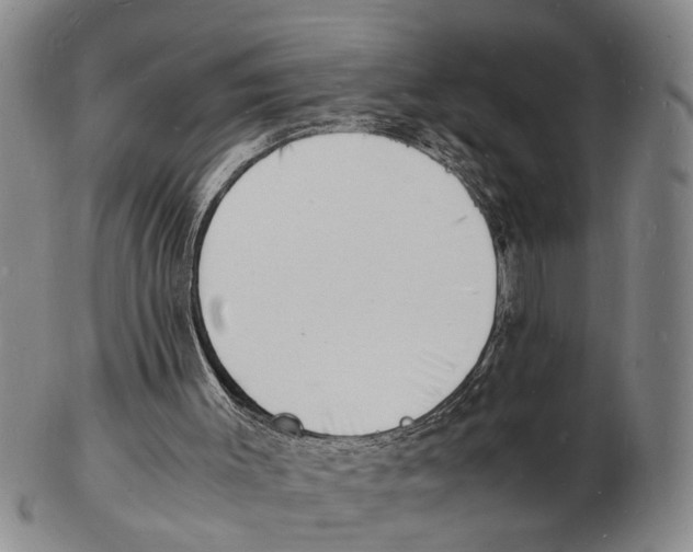 X0000102780003200809151113