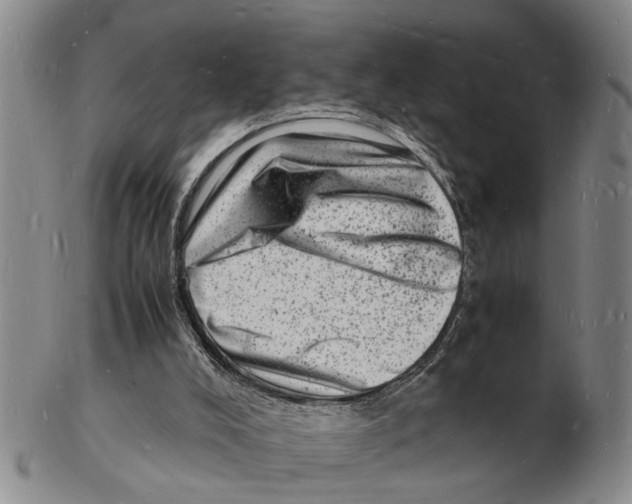 X0000102780008200809151113