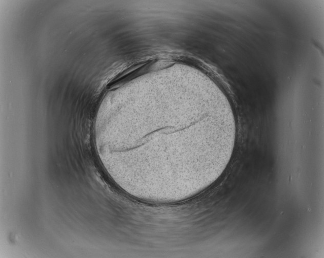 X0000102780010200809151113