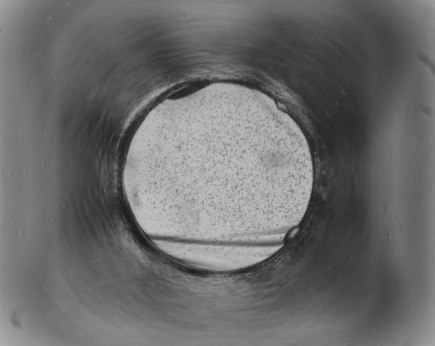 X0000102780012200809151113